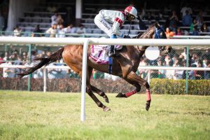 Should I Horse Racing Betting India Review 2027: Bonus, App, Withdrawal Tested