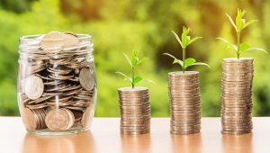 Vip Online Live Casino Investment Review 2027: Bonus, App, Withdrawal Tested